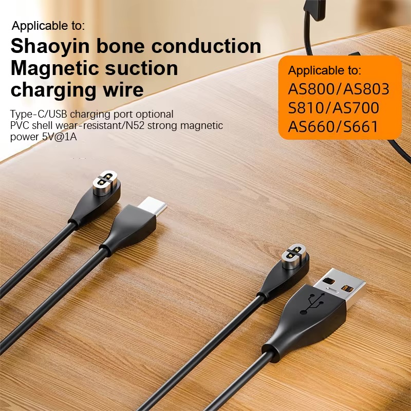 Cargador de auriculares de con - Skyrc B6 Neo Smart Charger reseña y precio